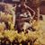 Mary Cabral's profile image