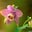 Delia Z's profile image