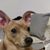 Sherron Davis's profile image
