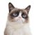 Marlaine Browning's profile image