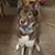 Annette Ninneman's profile image