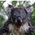 Ed Sparky Lawton's profile image
