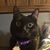 Rhonda M Deren Moyer's profile image
