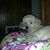 Linda Mcgaughy Leathers's profile image