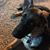 Ann Lechner-Radke's profile image