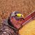 Joel Fisher's profile image