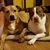 Julie McNaughton's profile image