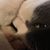 Jayme Watts's profile image