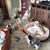 Cheryle Bivens's profile image