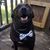 Tammy J Madore's profile image
