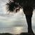 Michelle Marinho Lopes's profile image