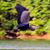 David Van de Vate's profile image