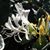 R.j. Carmody's profile image