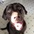 Tammie Love Wright's profile image