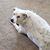 Debbie Guinn Marquis's profile image