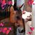 Debra Greenawalt's profile image