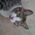 Gaylene Spicak Nunn's profile image