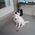 Leanne Janzen Owen's profile image