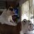 Tammy Golightly's profile image