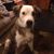 Frances Ann Sewell's profile image