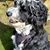 Mich Heberling's profile image