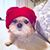 Susan Wyno's profile image