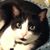Michelle Tarson's profile image