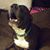 Heidi Husted Benton's profile image