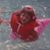 Kerstin E Ramstrom's profile image