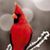 Bob Walters's profile image
