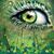 Kristie Rapp's profile image