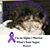 Ashley Arominski's profile image