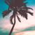 Amanda Rae Delgado-Gonzalez's profile image