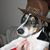 Denise Vavra Myers's profile image