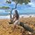 Yolanda Swilley-Smith's profile image