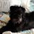 Kathy Helget's profile image