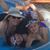 Jill Berlin Jarmel's profile image