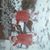 Sandy Davis's profile image