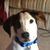 Christina Donovan's profile image
