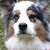 Sheila Durfee's profile image