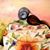 Laura Bottecchia's profile image