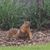 Doug Tharp's profile image