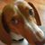 Susan Eagan's profile image