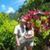Anthony Marinelli's profile image