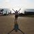 Shari Nussbaum Markowitz's profile image