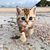 Donna Lea Thurner Gould's profile image