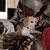 Teri Blekicki's profile image