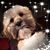 Nancy Parks's profile image