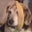 Melanie Long's profile image