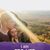 Faith Haren's profile image